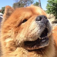 rapina su errore difensivo